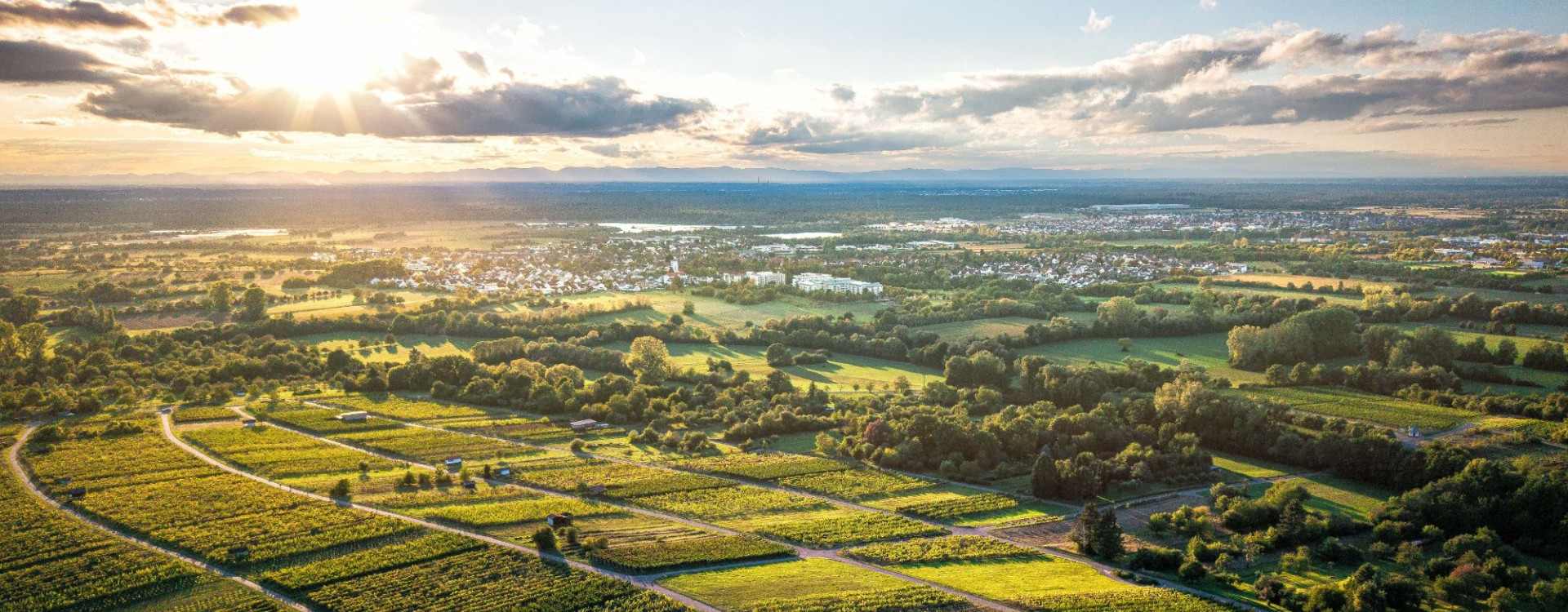 Aerial view of Bad Schönborn with vineyards and meadows at sunset